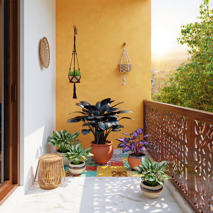 Imported Multicolor Hosta Flowers